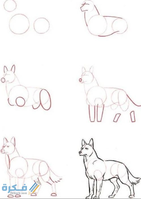 كيفية تعليم رسم الحيوانات البرية 