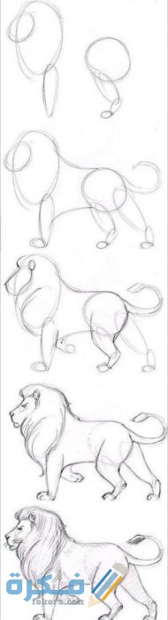 كيفية تعليم رسم الحيوانات البرية 