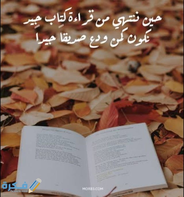 حكمة عن القراءة حكمة عن القراءة