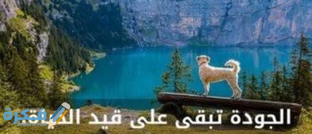 عبارات عن الجودة