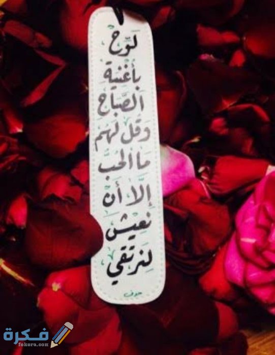عبارات عن الورد الاحمر