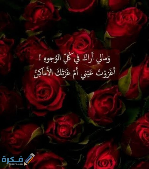 عبارات عن الورد الاحمر