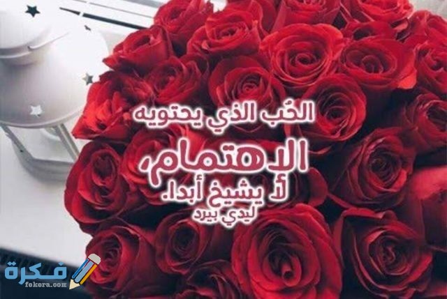 عبارات عن الورد الاحمر