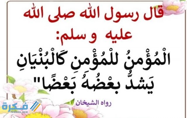 حكمة عن التعاون