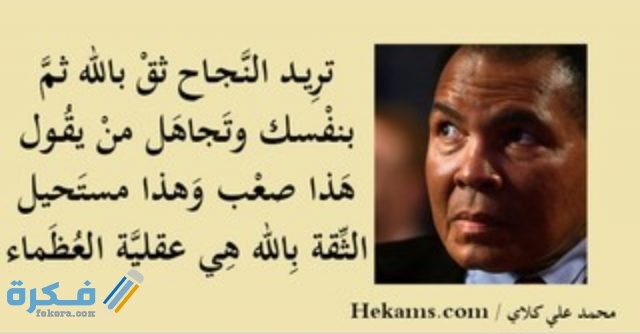 اقوال المشاهير عن النجاح