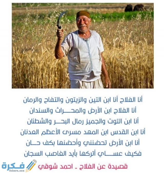 قصيدة عن الفلاح للاطفال مكتوبة