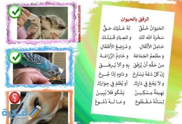 عبارات عن الرفق بالحيوان عبارات عن الرفق بالحيوان