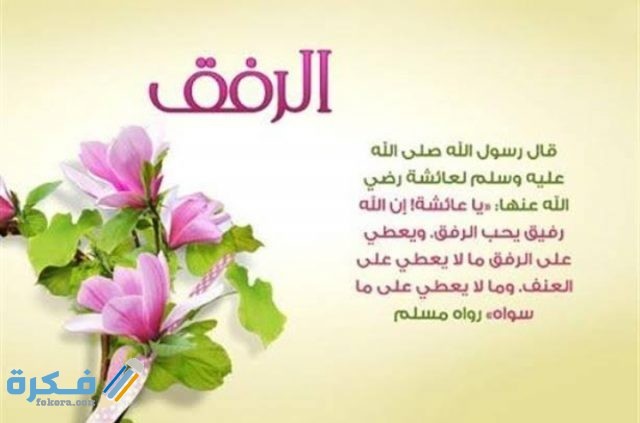 عبارات عن الرفق بالحيوان عبارات عن الرفق بالحيوان