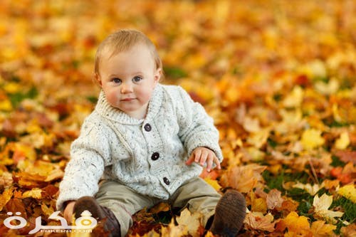 صور أطفال كيوت 2021 autumn fall baby boy child 59865