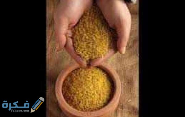  تفسير رؤية البرغل