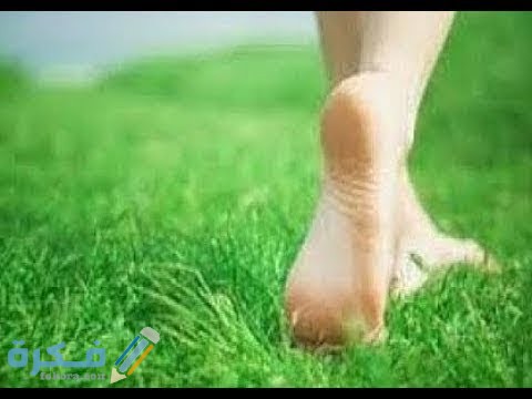 تفسير رؤية الساق في المنام للعزباء او للمتزوجة او للحامل