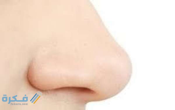 تفسير رؤية الانف تفسير رؤية الانف