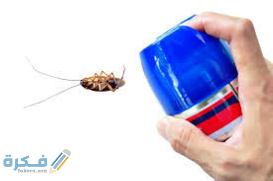 طرق الوقاية من الحشرات المنزلية