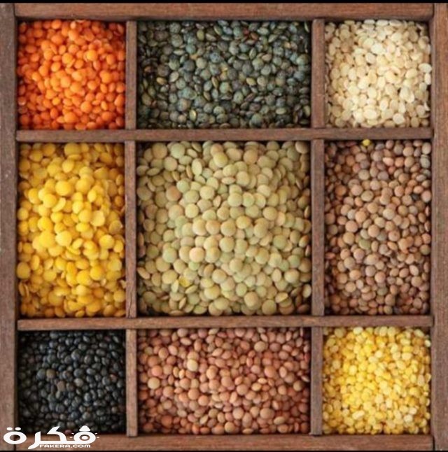 انواع العدس