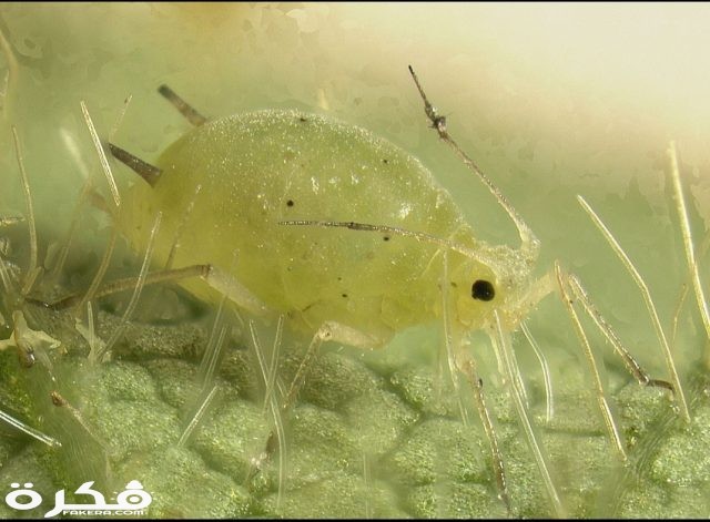 inbound3291063128132756715