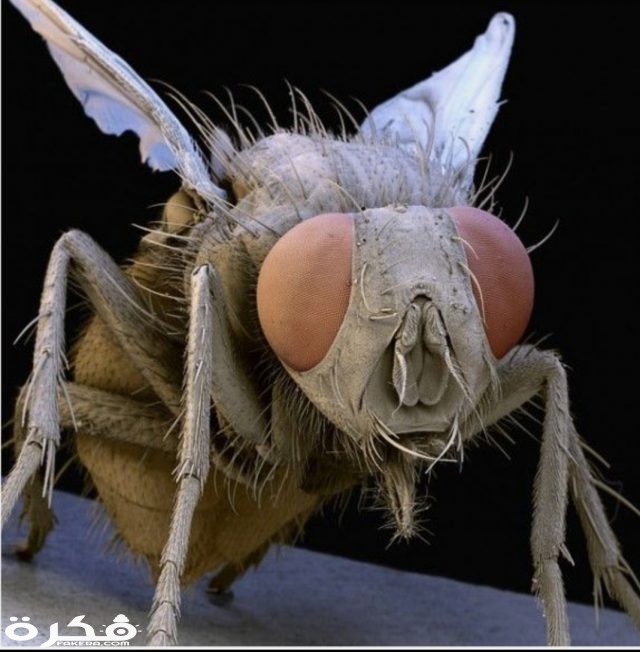 inbound8329195613789596653