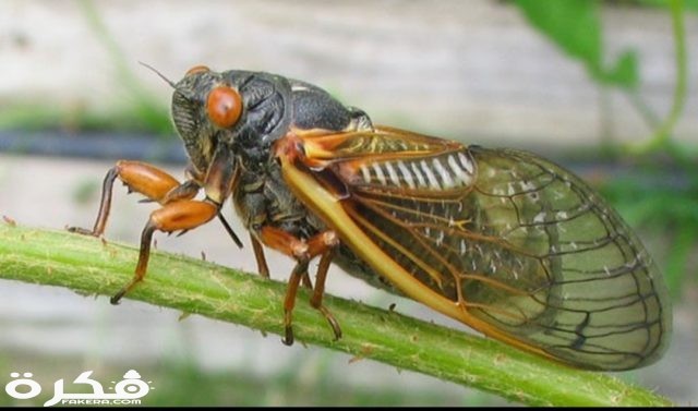 inbound834928806570173928