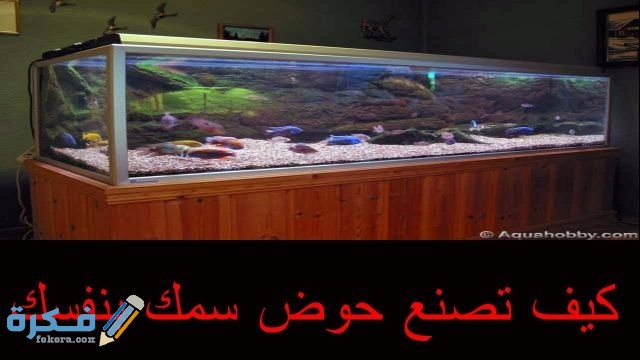 طريقة عمل حوض سمك الزينة 