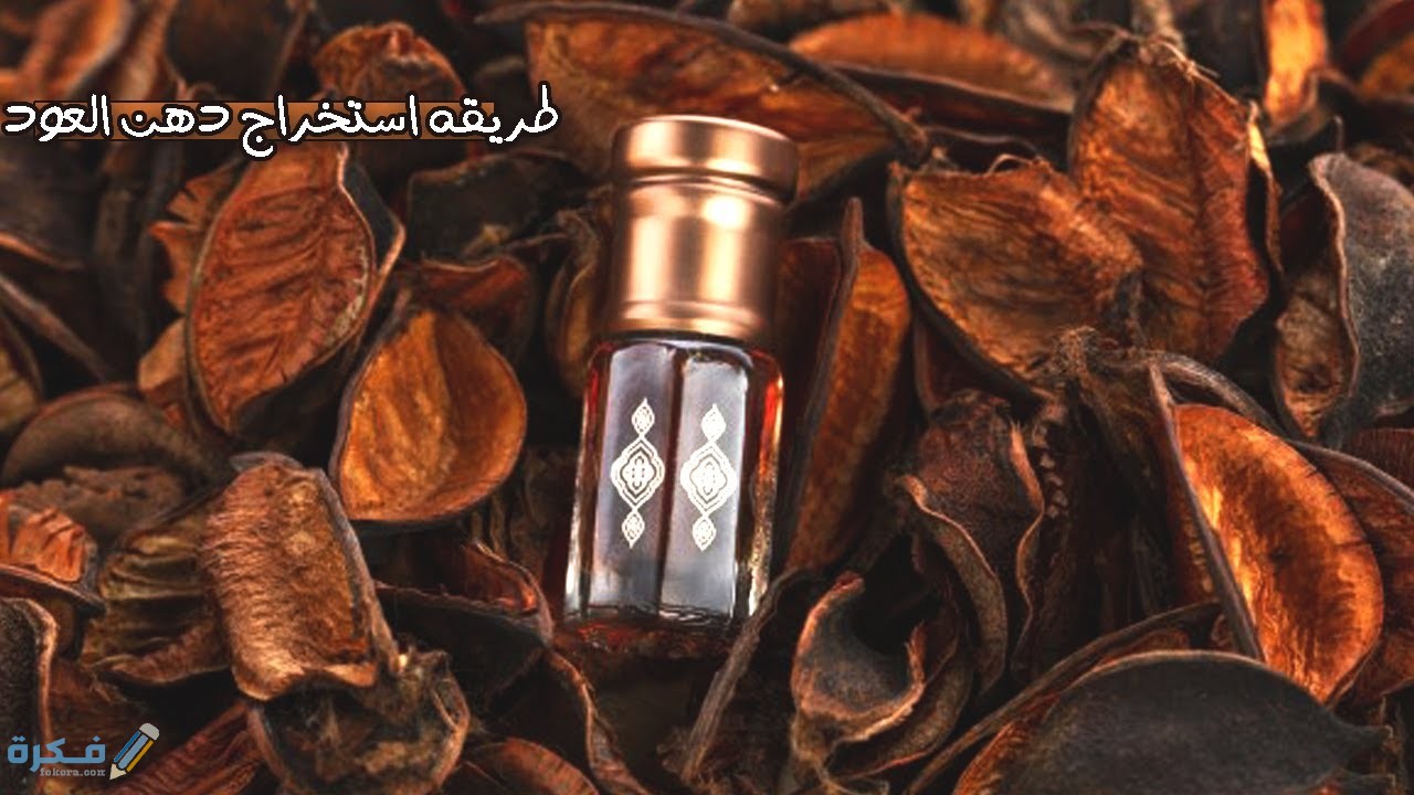 طريقة استخراج دهن العود