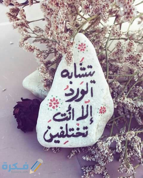 كلام جميل عن صديقتي توأم روحي