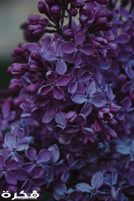 pexels photo 1381679