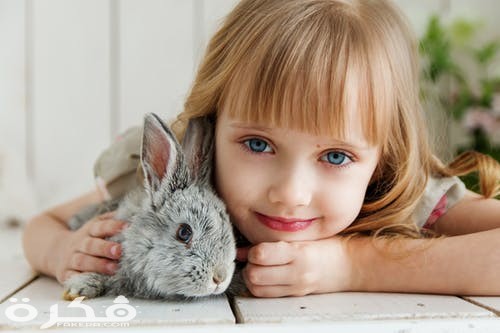 صور أطفال كيوت 2021 pexels photo 1462634