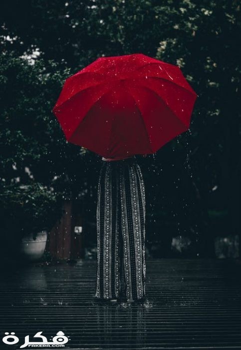 صور مطر جديدة 2021 pexels photo 1887792