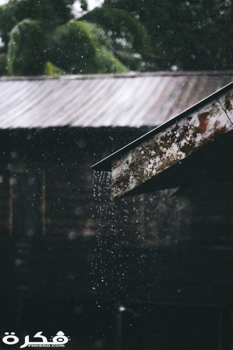 صور مطر جديدة 2021 pexels photo 1915182