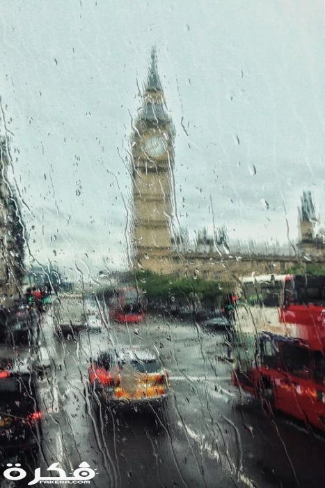 صور مطر جديدة 2021 pexels photo 2028885