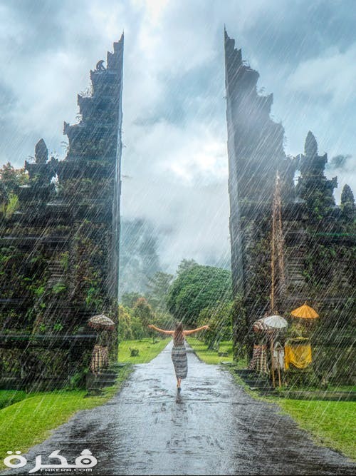 صور مطر جديدة 2021 pexels photo 2144326