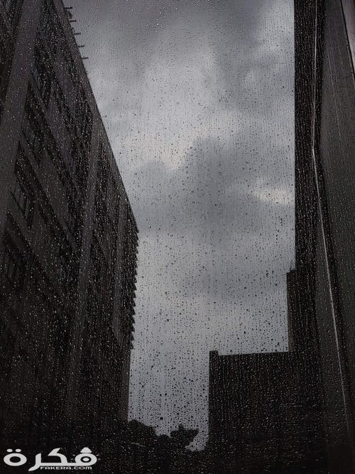 صور مطر جديدة 2021 pexels photo 2181075