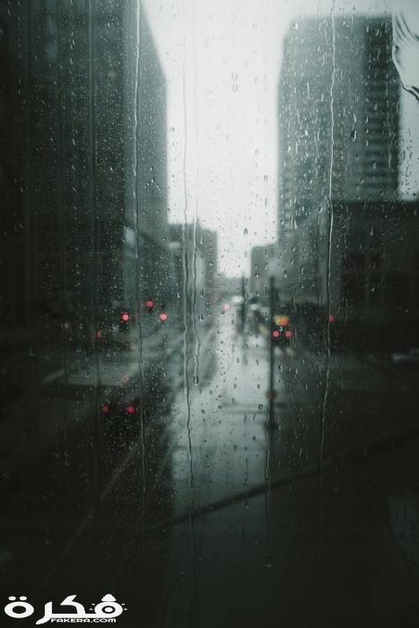 صور مطر جديدة 2021 pexels photo 2448749