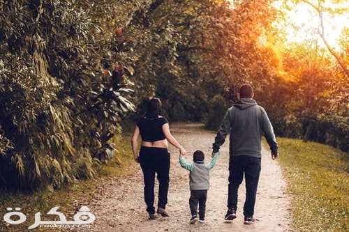 pexels photo 2807675