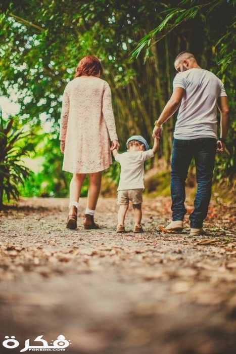 pexels photo 3038455