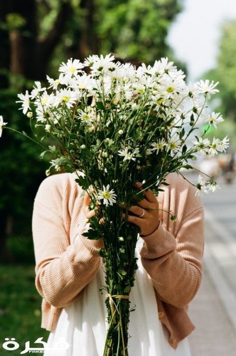 pexels photo 3290298