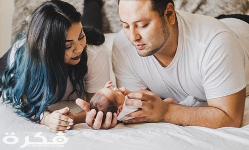 pexels photo 3617872