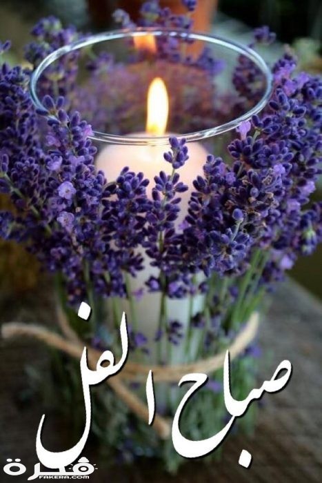 صور صباح الفل shof 4d70788f30d5d32