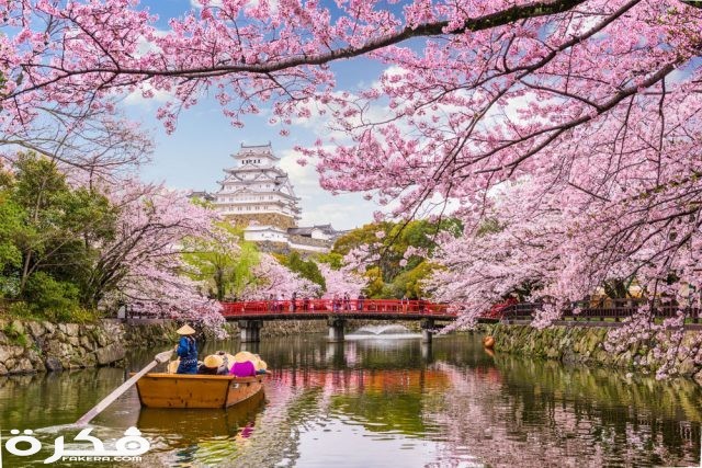 shutterstock 776445706 kf8wgf