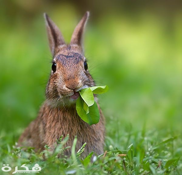 stunning photographs p3 6