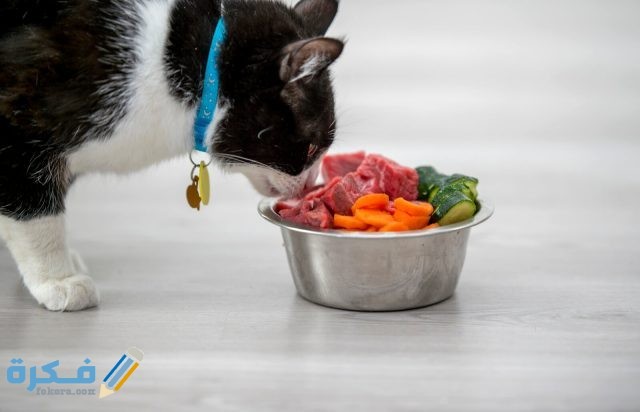 الفواكه و الخضروات