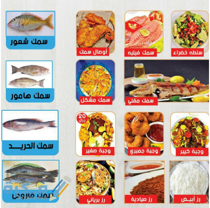 اسماك الجزيرة