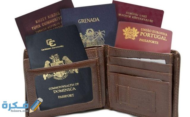 هَلْ تسمح مصر بتعدد الجنسيات؟