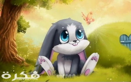 صور وخلفيات ارانب 2021
