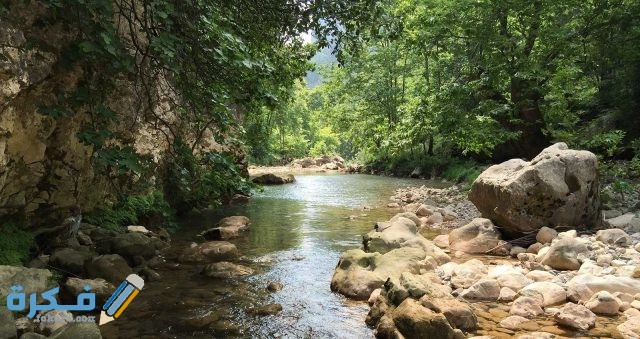 تفسير رؤية الميت يقول أنا في الجنة في المنام تفسير رؤية الميت يقول أنا في الجنة في المنام