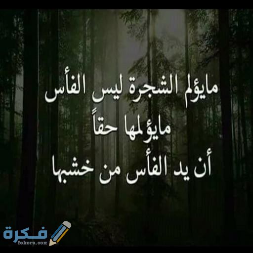 حكم وعبر قصيرة مؤثرة