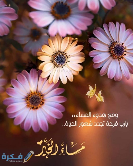 صور مساء الخير صور مساء الخير