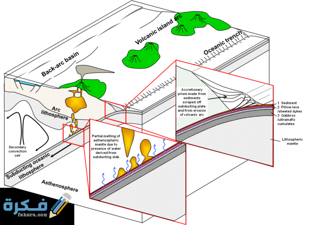 شرح درس ظاهرة الغوص شرح درس ظاهرة الغوص