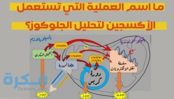 تسمى عملية صعود الهواء الساخن إلى الأعلى وهبوط الهواء البارد إلى الأسفل عملية التوصيل ؟ تسمى عملية صعود الهواء الساخن إلى الأعلى وهبوط الهواء البارد إلى الأسفل عملية التوصيل ؟