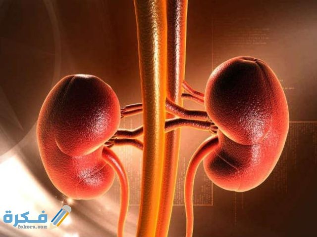 أسباب مرضية نزول البول الرغوي 