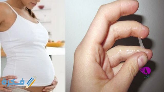 هَلْ نزول افرازات بنية قبل الدورة من علامات الحمل